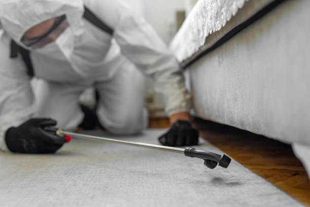 Professional Mosquito Control technician working in Ceres, CA